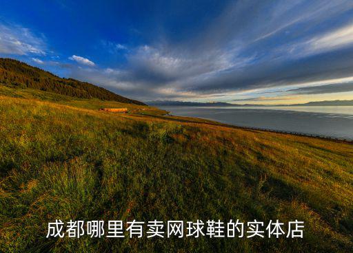 瑞金哪里有賣(mài)體育用品,義興(瑞金)體育用品有限公司