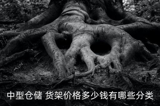 中型倉(cāng)儲(chǔ) 貨架價(jià)格多少錢(qián)有哪些分類(lèi)