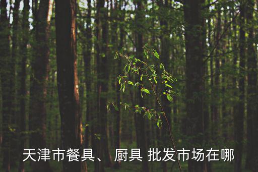 廚具批發(fā)城,成都廚房設(shè)備批發(fā)中心位于二仙橋西路