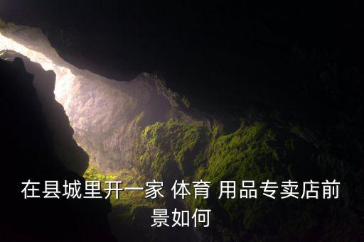 加盟體育用品店賺錢嗎,羽毛球體育用品店賺錢嗎