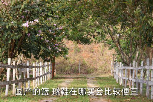 正品球鞋進(jìn)貨渠道,二級(jí)市場(chǎng)球鞋進(jìn)貨渠道