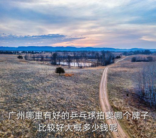  廣州哪里有好的乒乓球拍賣哪個牌子比較好大概多少錢呢
