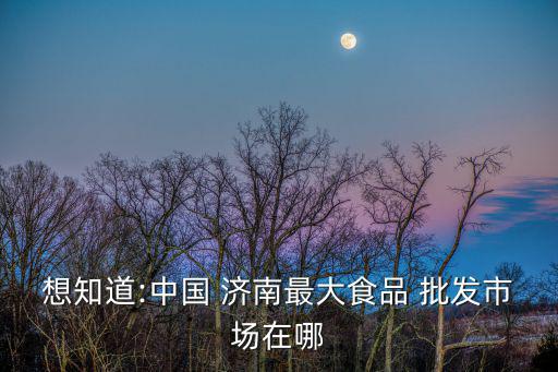 想知道:中國 濟南最大食品 批發(fā)市場在哪