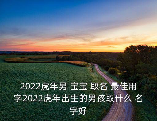 虎寶寶取名字最佳字免費取名,5月虎寶寶取名字最佳字