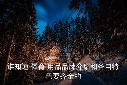 體育用品的簡介有哪些東西,兒童體育用品有哪些東西圖片