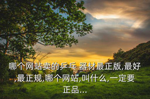 哪個網(wǎng)站賣的乒乓 器材最正版,最好,最正規(guī),哪個網(wǎng)站,叫什么,一定要正品...