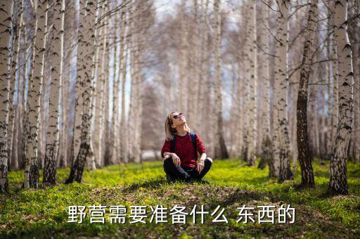  野營(yíng)需要準(zhǔn)備什么 東西的