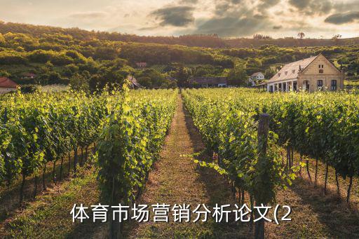  體育市場(chǎng)營(yíng)銷分析論文(2