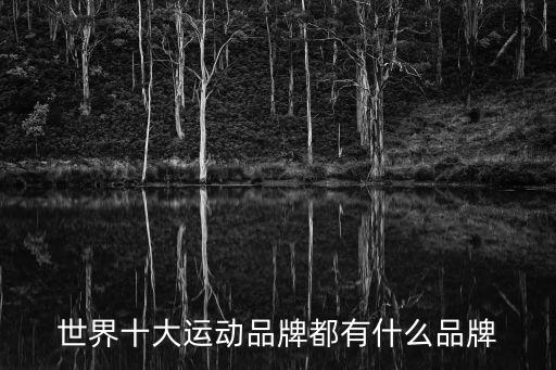 世界十大運(yùn)動(dòng)品牌都有什么品牌