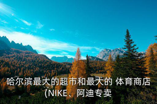 哈爾濱最大的超市和最大的 體育商店(NIKE、阿迪專(zhuān)賣(mài)