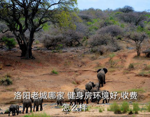 洛陽(yáng)健身館,洛陽(yáng)黃金時(shí)代健身