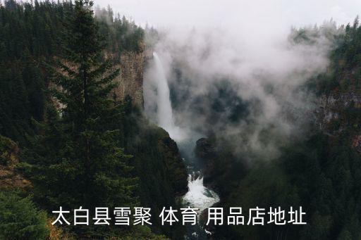 體育用品設(shè)備,一些-1用品可以租滑板店鋪設(shè)備