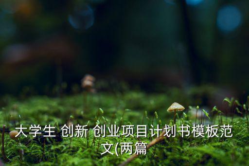 大學(xué)生 創(chuàng)新 創(chuàng)業(yè)項(xiàng)目計(jì)劃書模板范文(兩篇