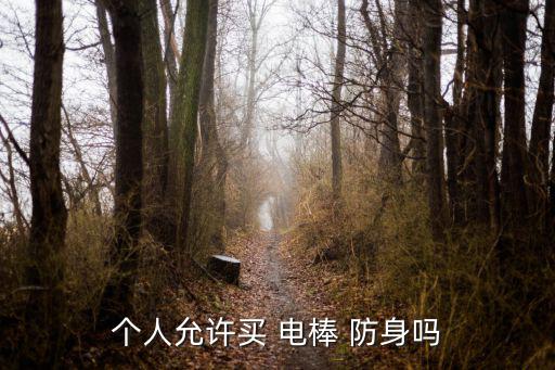 電棒防身哪里有賣河南,防身電棒