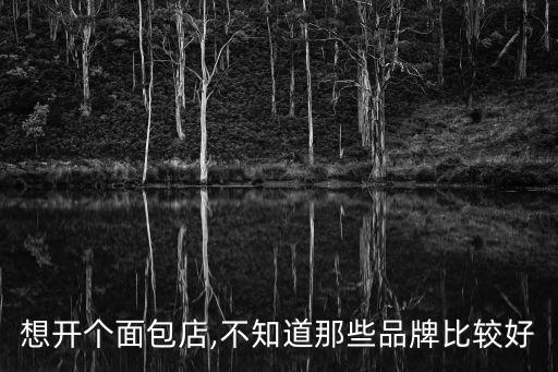 想開(kāi)個(gè)面包店,不知道那些品牌比較好