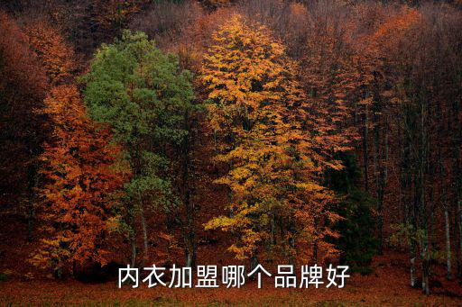  內衣加盟哪個品牌好