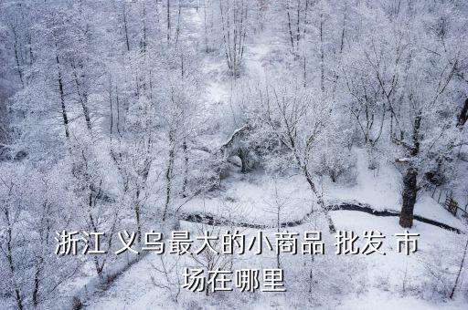  浙江 義烏最大的小商品 批發(fā) 市場(chǎng)在哪里