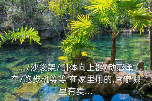 .../沙袋架/引體向上器/動(dòng)感單車/跑步機(jī)等等 在家里用的,南寧哪里有賣...