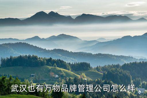 武漢也有萬(wàn)物品牌管理公司怎么樣