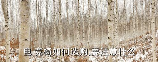 電 競(jìng)椅如何選購(gòu),要注意什么