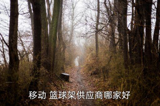 移動 籃球架供應商哪家好