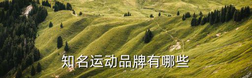 體育用品生產(chǎn)有什么研發(fā)項目