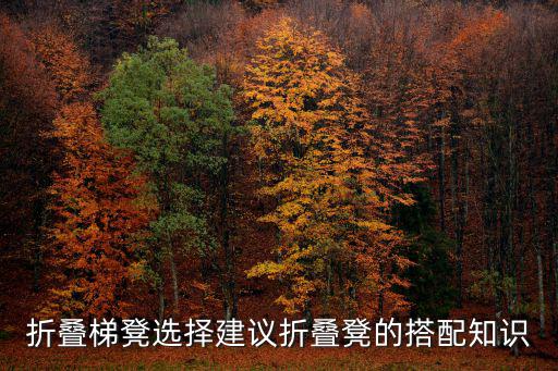 折疊椅子圖片大全價格 梯子,戶外折疊椅子圖片大全價格表