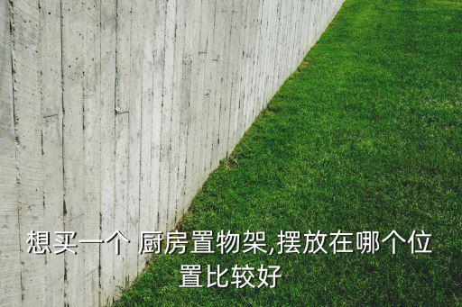 想買一個 廚房置物架,擺放在哪個位置比較好