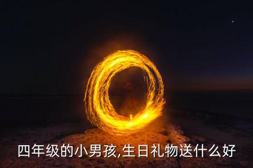 四年級的小男孩,生日禮物送什么好