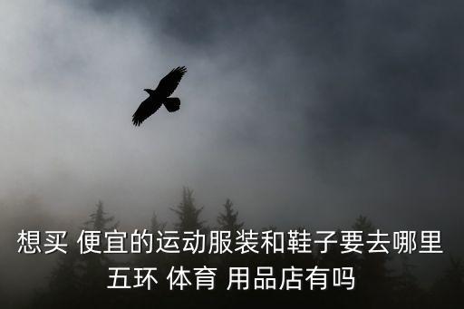 想買 便宜的運動服裝和鞋子要去哪里五環(huán) 體育 用品店有嗎