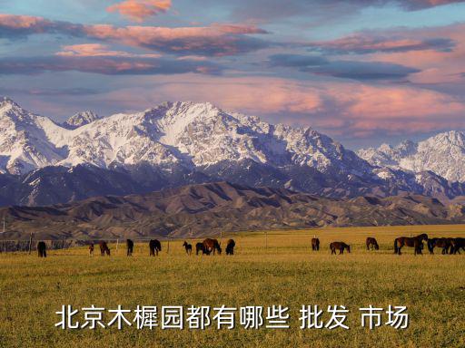 北京木樨園都有哪些 批發(fā) 市場(chǎng)