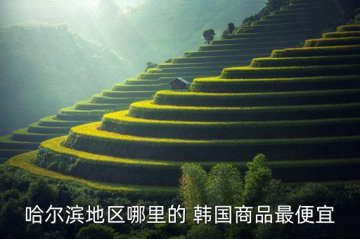 哈爾濱地區(qū)哪里的 韓國商品最便宜