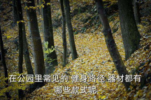 在公園里常見的 健身路徑 器材都有哪些款式呢