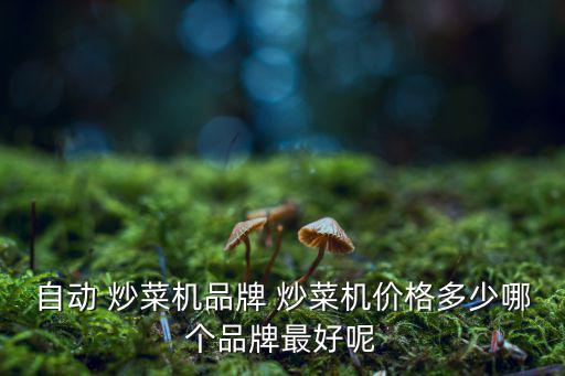 最新全自動炒菜機,明余產(chǎn)自動炒菜機零售價1980元
