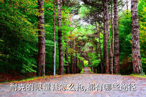 體育用品在哪個(gè)app買,網(wǎng)上買體育用品哪個(gè)平臺(tái)好