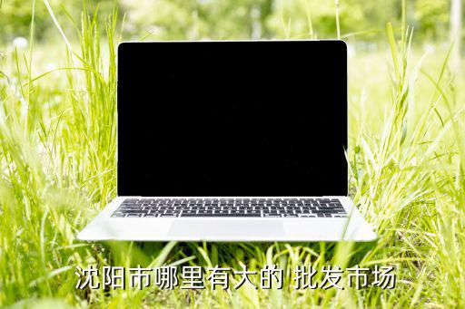 沈陽體育器材那個批發(fā)巿場大