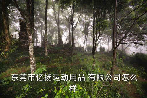  東莞市億揚運動用品 有限公司怎么樣