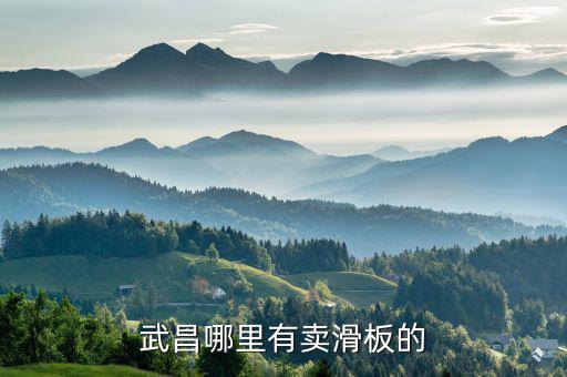 漢陽哪里有賣體育用品的