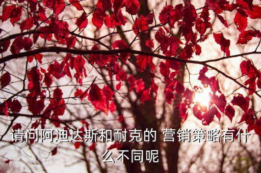 如何看待體育用品的營銷,體育用品市場營銷分析報告