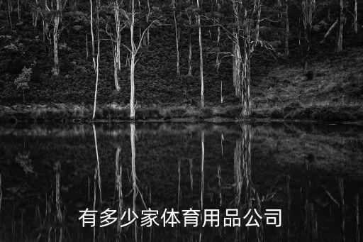全國(guó)有多少家體育用品公司