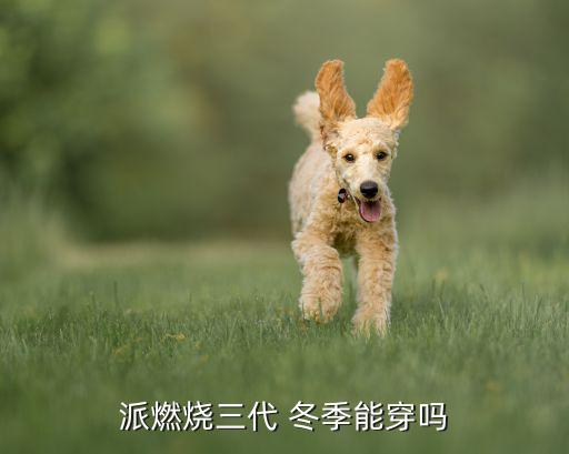 冬季體育用品,安踏體育用品有限公司成為國內領先企業(yè)
