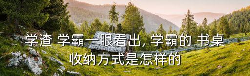 學渣 學霸一眼看出, 學霸的 書桌收納方式是怎樣的