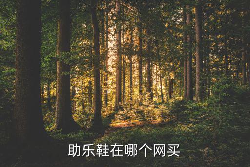 購(gòu)買(mǎi)體育用品有哪些平臺(tái)可靠,體育用品政府采購(gòu)平臺(tái)有哪些