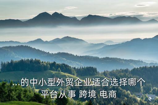 ...的中小型外貿(mào)企業(yè)適合選擇哪個(gè)平臺(tái)從事 跨境 電商