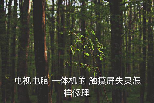 觸摸電視一體機(jī),nn一體機(jī)電腦便攜性要好于機(jī)身電腦