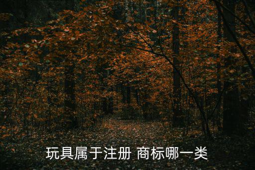 體育用品是商標多少類