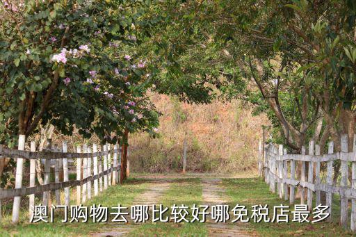 澳門哪里能買體育用品,澳門體育用品一條街