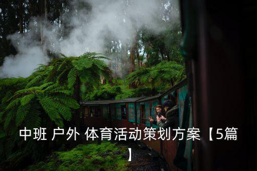 幼兒園自制戶外體育器材方案