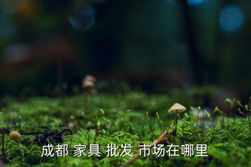 成都 家具 批發(fā) 市場在哪里
