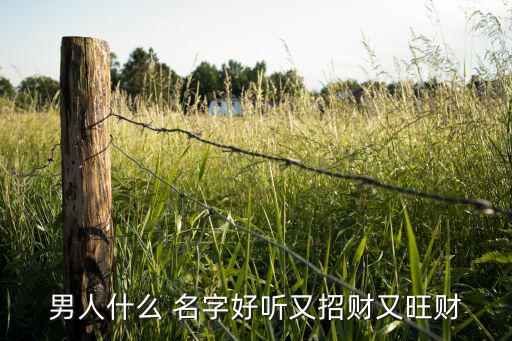 男人什么 名字好聽又招財(cái)又旺財(cái)